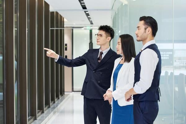 国网公司进行组织架构调整以优化业务运营和管理图1