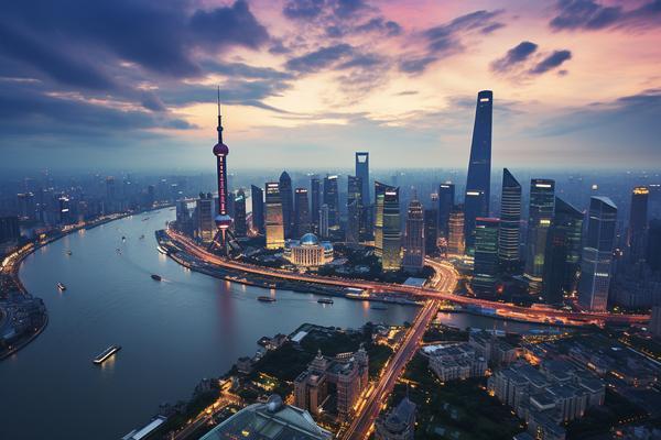 《结婚难：探讨城市婚姻市场的现状与挑战》图1