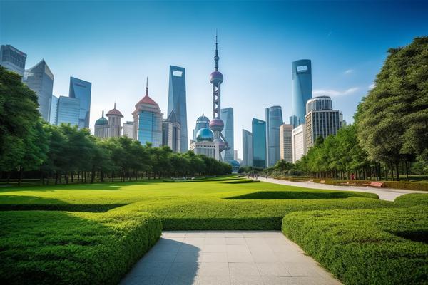 原收养法落户:如何让宠物更好地适应新环境图1