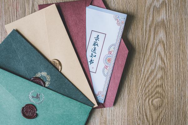 《令人心动的offer：重婚之路，探索与勇气的极佳表现》 图1