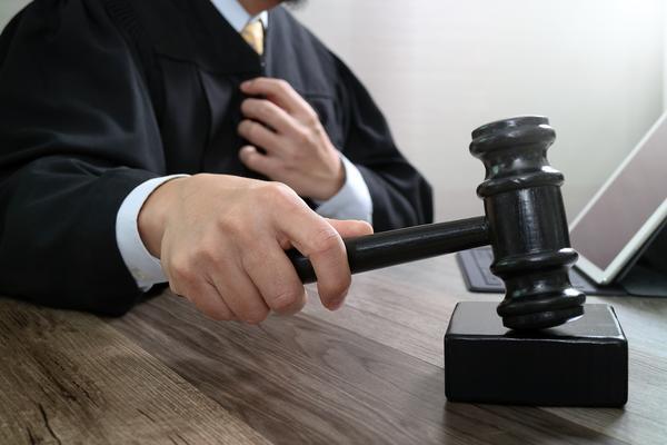 《中华人民共和国刑法重婚罪条款解析与应用》图1