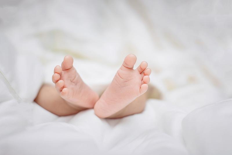 结婚生育证明办理流程及所需材料 图2