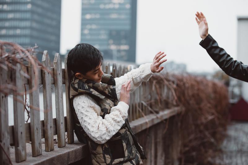 侄女被家庭暴力殴打的法律责任与法律保护 图1